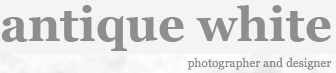 Wordpress Themes :: Antique White
